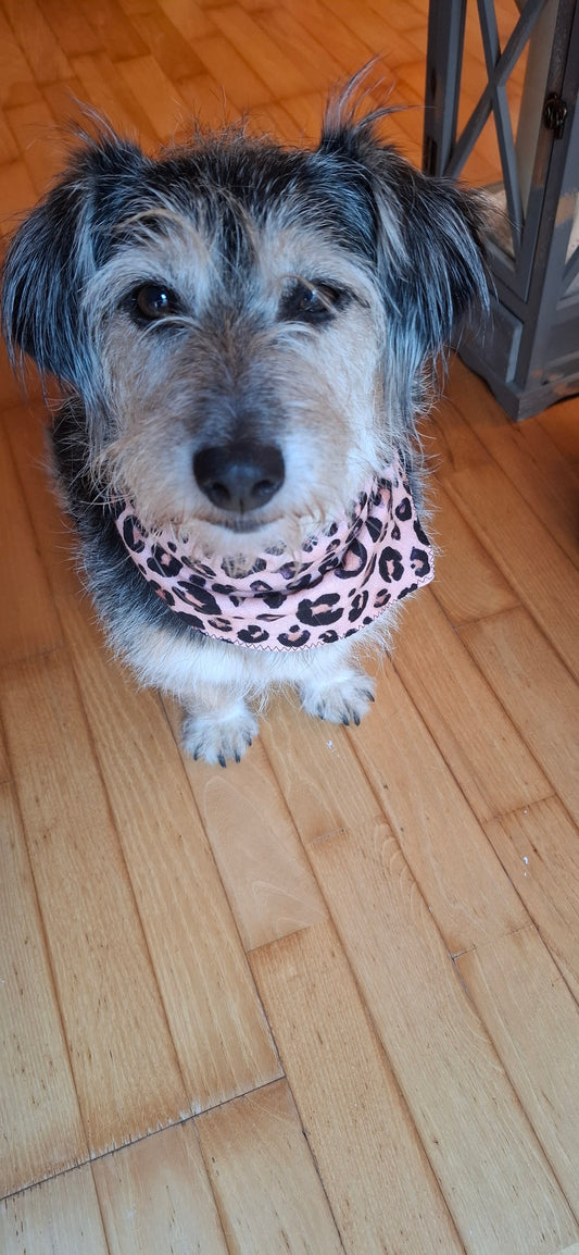 Für den Hund von Welt -Hundehalstuch