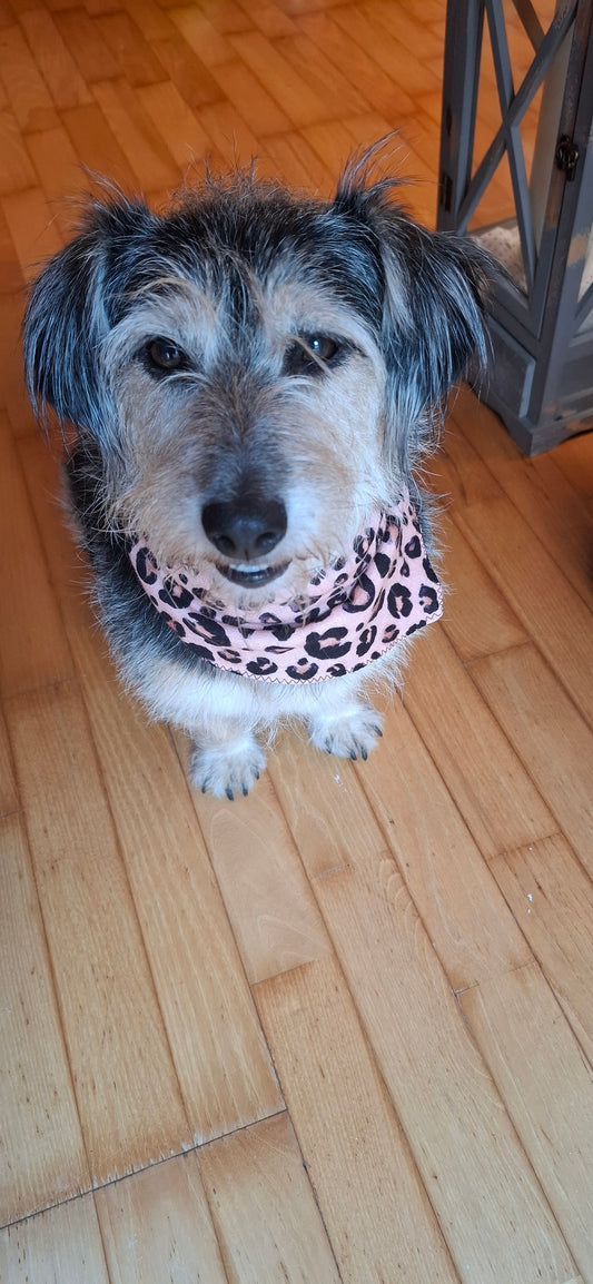 Flottes Hundehalstuch